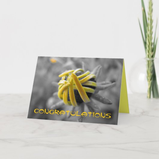 おめでとう カード (正面)