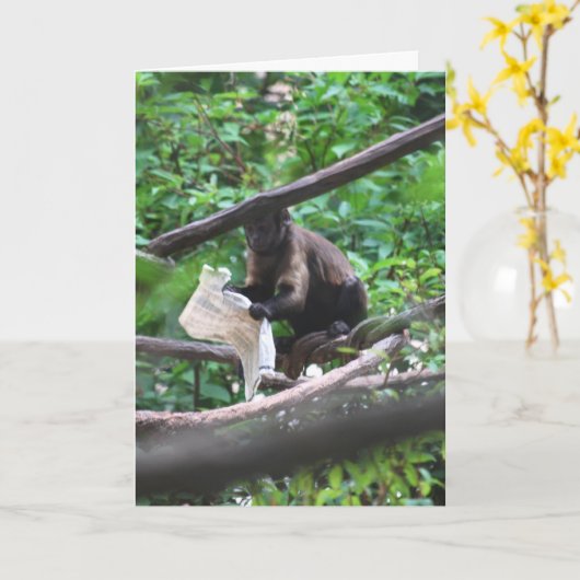 おめでとう カード (黄色い花)