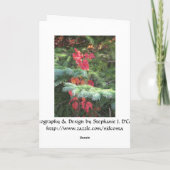 おめでとう シーズンカード (裏面)