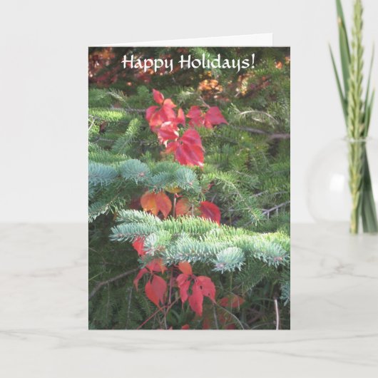 おめでとう シーズンカード (正面)