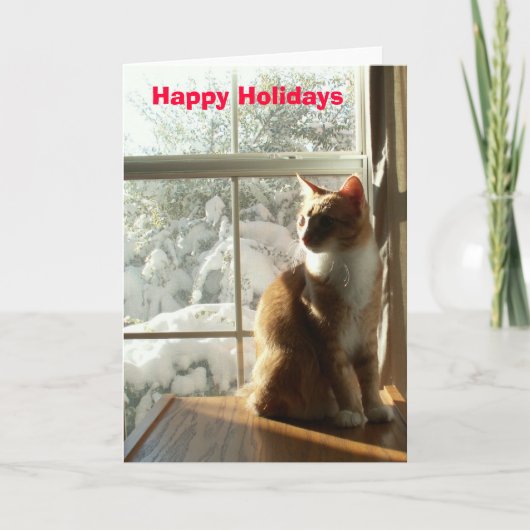 おめでとう シーズンカード (正面)