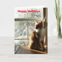 おめでとう シーズンカード