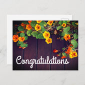 おめでとう ナズナのポストカード ポストカード (正面/裏面)