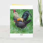 おめでとう、ニワトリの雄と雌、赤い羽毛 カード (裏面)