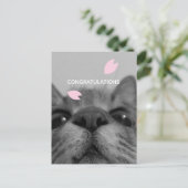 おめでとう　ブランクポストカード ポストカード (スタンド正面)