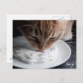 おめでとう ポストカード (正面/裏面)