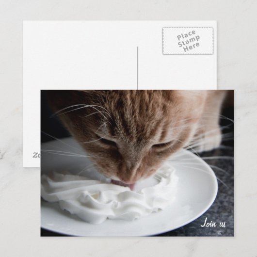 おめでとう ポストカード (正面/裏面)
