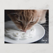 おめでとう ポストカード (正面)