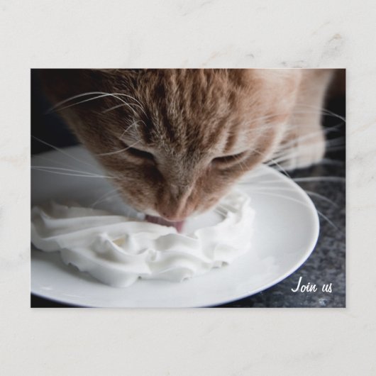 おめでとう ポストカード (正面)