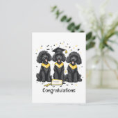 おめでとう！卒業するスタンダードプードル犬たち ポストカード (スタンド正面)