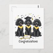 おめでとう！卒業するスタンダードプードル犬たち ポストカード (正面/裏面)