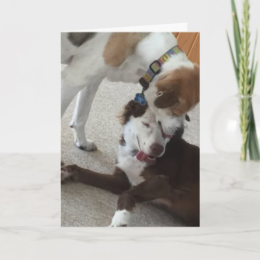 おめでとう、犬は愛情たっぷり。 カード (正面)