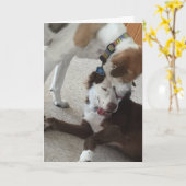 おめでとう、犬は愛情たっぷり。 カード (黄色い花)