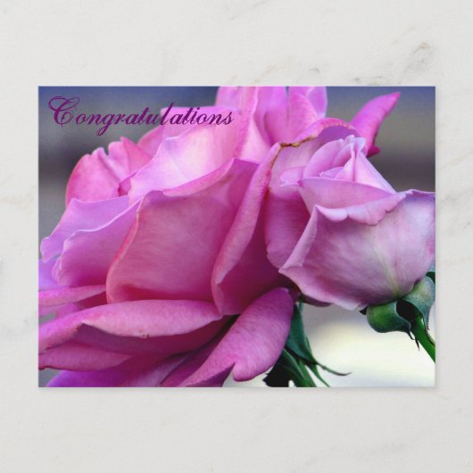 おめでとう_葉書 ポストカード (正面)