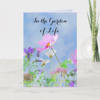 おめでとう、離婚おめでとう カード