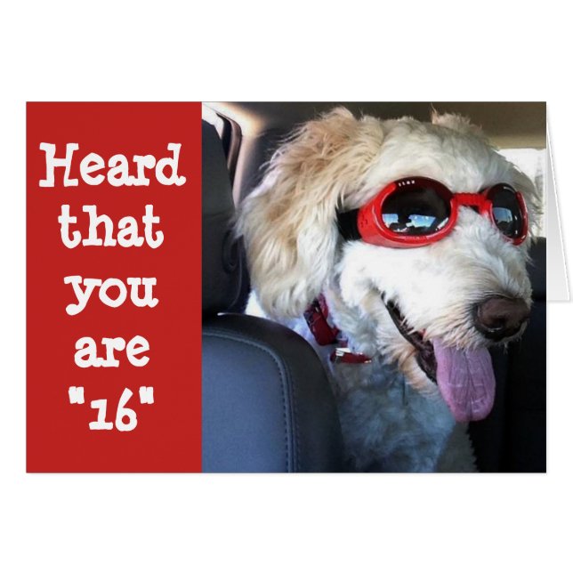 おめでとう！*16番目の誕生日**今祝日！!!! (正面横)