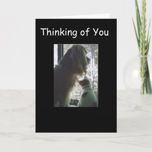 おめでとう**A** 1310代の番 カード (正面)