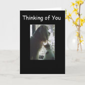 おめでとう**A** 1310代の番 カード (黄色い花)