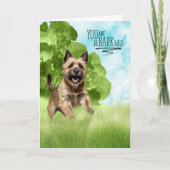 おめでとうCairn+Terrier犬 カード (正面)