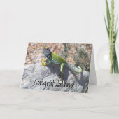 おめでとうLizard Sunbathingで写真を追加 カード (正面)