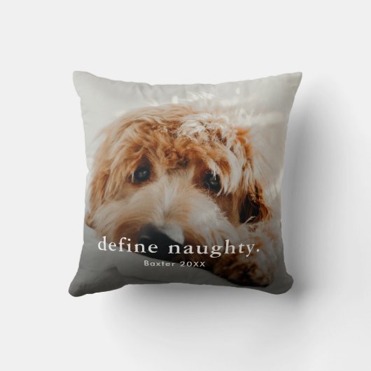 おもしろいいけなペット2枚の写真 クッション (裏面)