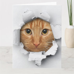 おもしろいいたずら好きかわいいジンジャー猫 カード