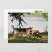 おもしろいおもしろいおもしろい! ポストカード (正面/裏面)