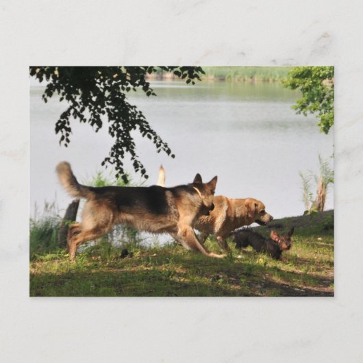 おもしろいおもしろいおもしろい! ポストカード (正面)