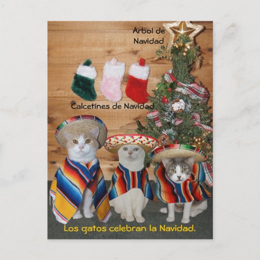 おもしろいおもしろいスペインの用のはが教えき ポストカード (正面)