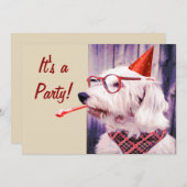 おもしろいかわいい犬祝のパーティーハットグラス 招待状 (正面/裏面)