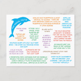 おもしろいかわいい&動物についての事実カラフル ポストカード