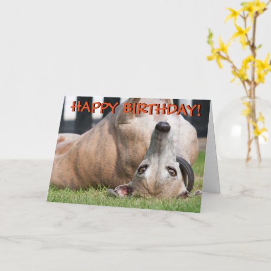 おもしろいでかわいいグレイハウンドの挨拶状 カード (黄色い花)