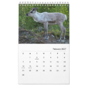 おもしろいで及びかわいい動物のカスタムのカレンダー カレンダー (2月 2027)
