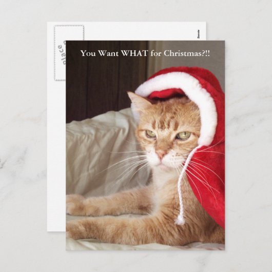 おもしろいで気難しいショウガ猫のクリスマスの郵便はがき シーズンポストカード (正面/裏面)