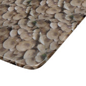 おもしろいで食べられる生ボタンキノコの写真 カッティングボード (角)