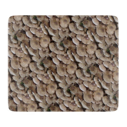 おもしろいで食べられる生ボタンキノコの写真 カッティングボード (正面)