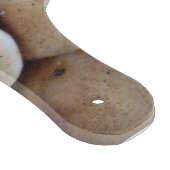 おもしろいで食べられる生ボタンキノコの写真 カッティングボード (角)