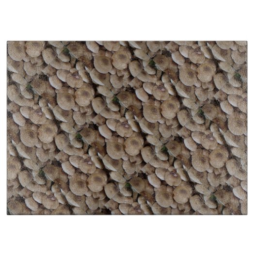 おもしろいで食べられる生ボタンキノコの写真 カッティングボード (正面)