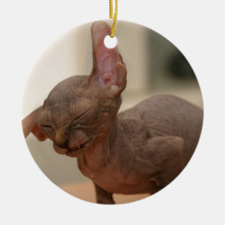 おもしろいなくしゃみをするsphynxの子ネコ セラミックオーナメント