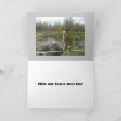 おもしろいなだちょうの誕生日 カード (内部)