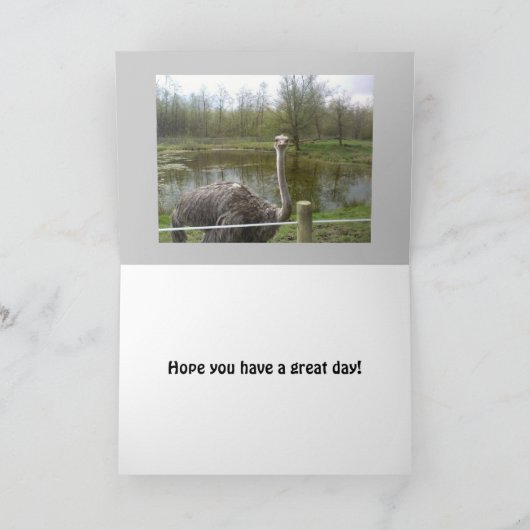 おもしろいなだちょうの誕生日 カード (内部)