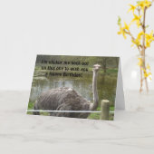 おもしろいなだちょうの誕生日 カード (黄色い花)