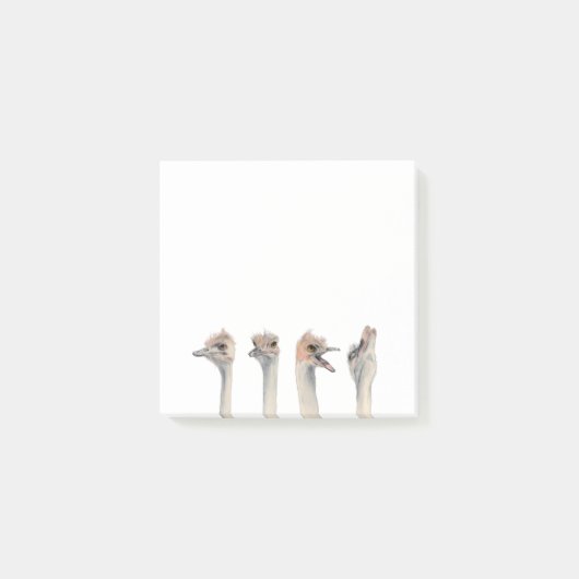 おもしろいなだちょうの鳥の水彩画|の戯曲女王 ポストイット (正面)