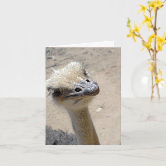 おもしろいなだちょうのnotecard カード (黄色い花)