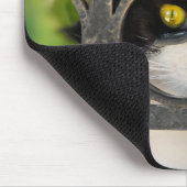 おもしろいなめがねフレームを持つ好奇心が強い猫-供給 マウスパッド (コーナー)