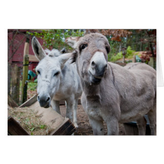 おもしろいなろば