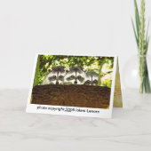 おもしろいなアライグマのバースデー・カード2 カード (裏面)