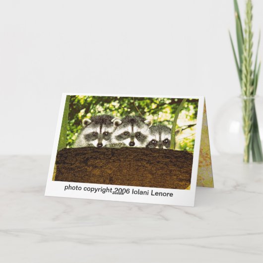 おもしろいなアライグマのバースデー・カード2 カード (裏面)