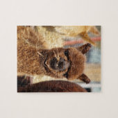 おもしろいなアルパカのパズルイザベラ ジグソーパズル (横)