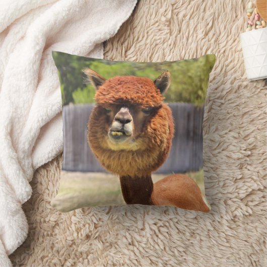 おもしろいなアルパカの装飾用クッション クッション (ブランケット)